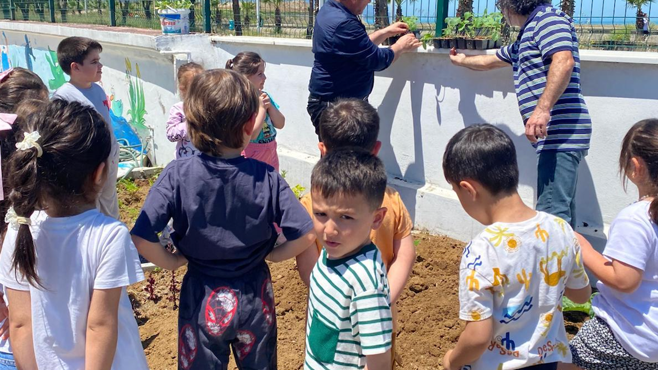 Akçaabat’ta Minikler Toprağa Can Verdi! Fide Dikimi Coşkusu