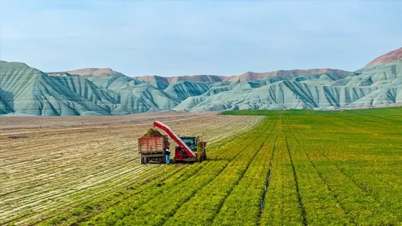 Aydın’da Tarımda Devrim: Arazi Toplulaştırması Başlıyor!