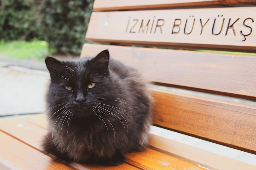 İzmir Büyükşehir Belediye Başkanı Cemil Tugay CHP'den Ayrıldı!